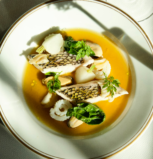 Black Bass and Shellfish in golden broth, garnished with fresh herbs and vegetables in an elegant white plate with gold rim